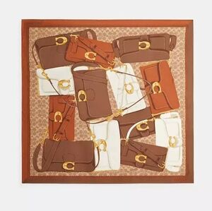 Coach scarf